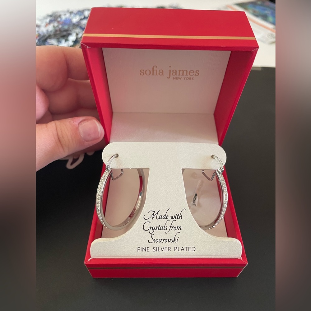 sofia james earrings hoops crystal silver